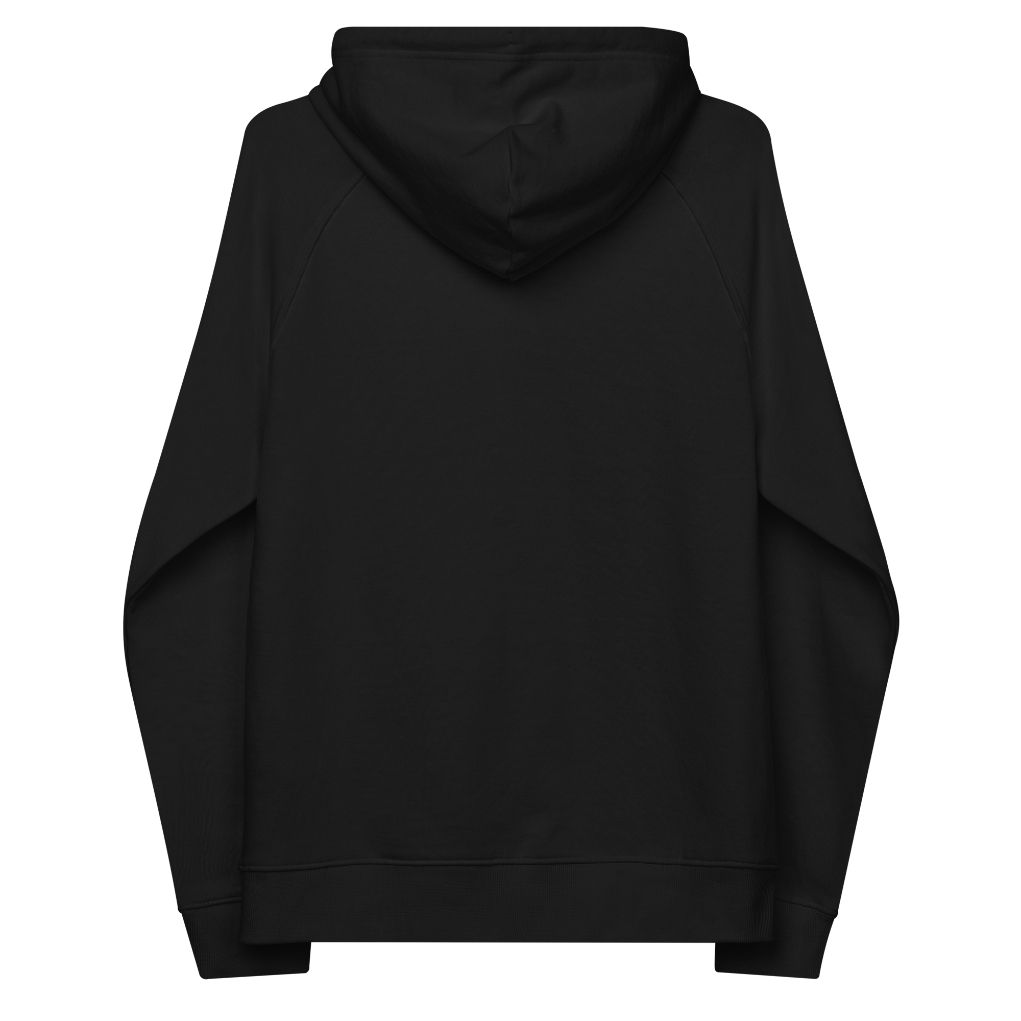 unisex-eco-raglan-hoodie-black-back-668c20bd205bf.png