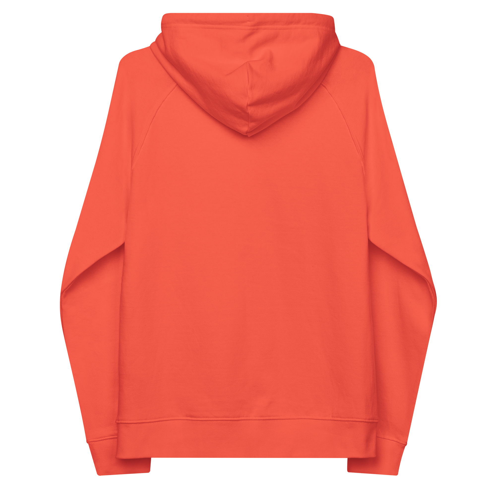unisex-eco-raglan-hoodie-burnt-orange-back-668c20bd3cdd9.png